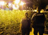 La Guardia Civil desmantela un invernadero con ms de 2.000 plantas de marihuana en una nave industrial de San Javier