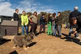 Primer informe elaborado con datos de la web de adopciones 'Adopta con Tiendanimal''Mi historia contin�a contigo': el informe de Tiendanimal que da voz a m�s de 2.500 animales de compa&ntilde;�a que buscan un hogar