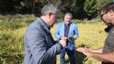 Las ayudas para conservar el cultivo tradicional de arroz de Calasparra llegar�n a 325 hect�reas
