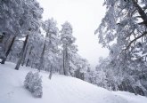 Llega el primer temporal invernal de la temporada con posibles nevadas en Madrid