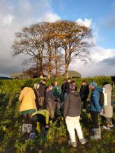 Coordinadores y mentores del proyecto Erasmus UPSKILL+ se renen en Irlanda para testar las actuaciones que se estn llevando a cabo