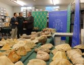 La Comunidad y la Guardia Civil recuperan una importante coleccin arqueolgica y paleontolgica