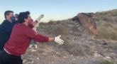 Suelta de un búho real en Calblanque tras ser tratado en el Centro de Recuperación de Fauna de la Comunidad