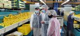 La Comunidad solicita al Ministerio que reclame para los ctricos de la Regin de Murcia la declaracin de 'producto sensible' ante la Unin Europea