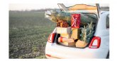 5 ciudades a las que viajar en Navidad y 5 motivos por los que hacerlo en coche sigue siendo la mejor opcin