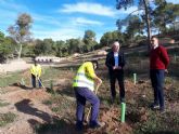 Medio Ambiente planta ms de 1.200 pinos carrascos y 500 arbustos en el parque municipal de Los Polvorines en Monteagudo