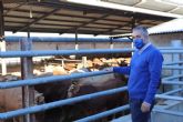Cano: 'El PPRM apoya la España rural y pide que no se desprecie a agricultores, ganaderos y pescadores'