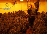 La Guardia Civil desarticula un grupo delictivo dedicado al cultivo ilícito de marihuana en Las Torres de Cotillas