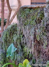 La Consejera de Salud activa el nivel 2 de riesgo por bajas temperaturas y pide a la poblacin que tome medidas de autoproteccin