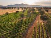 Nacelcanto: un tinto singular que interpreta la esencia de la dehesa
