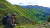 Avistamiento del oso pardo, una excelente excusa para recorrer los Parques Naturales de Asturias