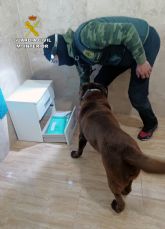 La Guardia Civil desmantela un grupo delictivo dedicado al trfico de drogas