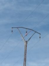 La CHS instalar medidas protectoras para las aves en las lneas elctricas del postrasvase Tajo-Segura