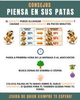 El Servicio de Emergencias Municipal despliega un dispositivo especial de refuerzo con motivo de la celebraci�n de la noche de San Juan