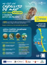 Medio Ambiente impulsa una estrategia para implicar a la sociedad en la conservaci�n de la nacra en el Mar Menor