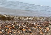 Los Riberenos califican de 'vergonzosas e inoportunas' las declaraciones de Pablo Casado en defensa del Trasvase en plena crisis ambiental del Mar Menor