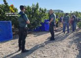La Guardia Civil inspecciona cerca de una treintena de explotaciones agrcolas y detiene/investiga a 16 personas por emplear a trabajadores extranjeros de forma irregular