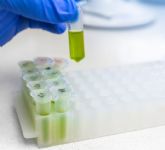 El CTNC respalda el proyecto Fibrocolis para la obtencin de fibras alimentarias sostenibles a partir de subproductos vegetales del brcoli