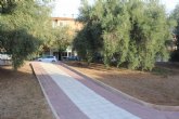 Autorizan la solicitud de un vecino que solicita la recogida de las aceitunas y poda de las oliveras propiedad del Ayuntamiento de Totana
