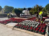 Ms de 100.000 flores de temporada embellecen las calles, plazas y jardines de Murcia y sus pedanas esta Navidad