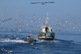 Agricultura, Pesca y Alimentacin abona 7,55 millones de euros a las Organizaciones de Productores Pesqueros de mbito nacional y transnacional