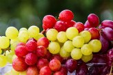 Aumenta un 14% el precio de la uva ante la llegada de las Navidades, según la plataforma ´agritech´ Consentio