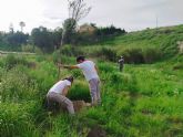 Los trabajos de plantación de especies autóctonas del proyecto Anillo Verde llegan a su fase final, contribuyendo a la renaturalización de la ciudad de Molina de Segura