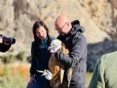 Tres ejemplares juveniles de buitre leonado son liberados en el embalse de Valdeinfierno de Lorca