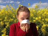 La alergia la conduccin altera