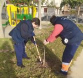 Puerto Lumbreras disfruta de más de medio millar de nuevas plantas en jardines y espacios verdes gracias al Centro de Conservación de Flora Silvestre de la Región