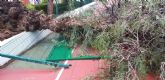 Las fuertes rachas de viento provocan la caída de un árbol en la instalaciones del Polideportivo Municipal de Águilas