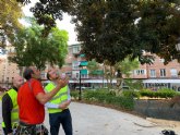Revisan el arbolado para que los vecinos vuelvan a disfrutar de las zonas verdes con seguridad