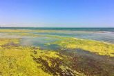 Cartagena prepara un contencioso por inacción en la retirada de fangos y secos en las playas del Mar Menor sur