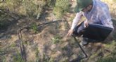 Medio Ambiente constata la presencia de una singular gramínea en los arenales del Serral en Yecla