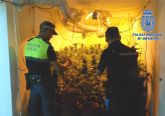 Nueva operación contra el tráfico de drogas en Lorca