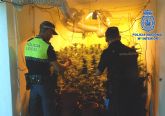 Nueva operacin contra el trfico de drogas en Lorca