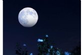 La ltima superluna del ano: llega la 