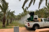 El Ayuntamiento inicia un plan de choque contra los mosquitos en barrios y diputaciones