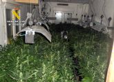 La Guardia Civil desmantela un grupo delictivo que cultivaba y distribua gran cantidad de marihuana