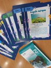 Ms de 3.600 alumnos participan en las actividades del Aula del Mar Menor