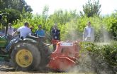 Comienzan a triturar los restos de poda de los huertanos para reducir las quemas agrcolas dentro de la estrategia Aire Limpio