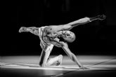 La compañ�a Cienfuegos Danza presenta mañana en el Teatro Circo de Murcia �88 azucenas y un perro�