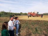 El 20 por ciento de la produccin de arroz de Calasparra se destina a la exportacin y Estados Unidos es el principal destino