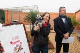 El Ayuntamiento colaborara con las protectoras para la adopcion de perros y gatos