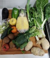 La app Too Good To Go y HoyT: 