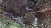 La abundancia de lluvia en Totana hace ahora 132 aos