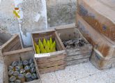 La Guardia Civil desactiva cerca de un centenar de artefactos explosivos en Cieza