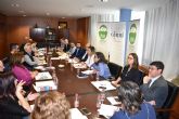 El Comité Español de Representantes de Personas con Discapacidad aporta sus propuestas al Plan de Juventud