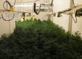 La Guardia Civil desmantela en Alguazas un invernadero clandestino de marihuana tipo indoor