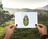 El branding sostenible se consolida como tendencia en la creaci�n de nuevas marcas